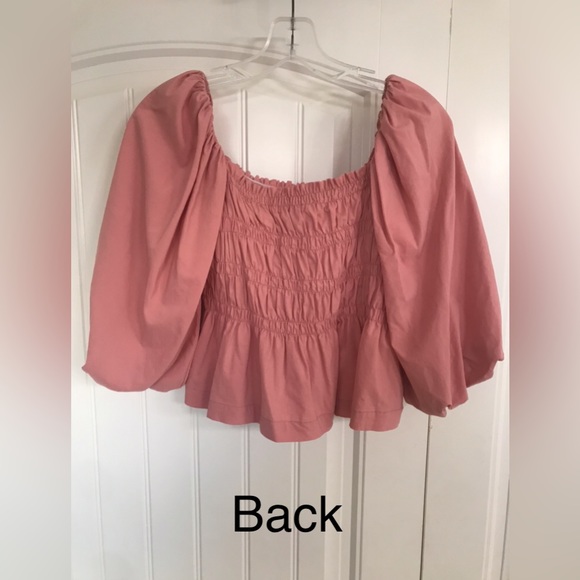 NEST BLACK LABEL Dusty Rose Blouse - Picture 3 of 9